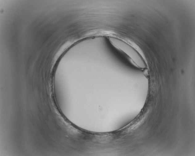 X0000067950997200605112120