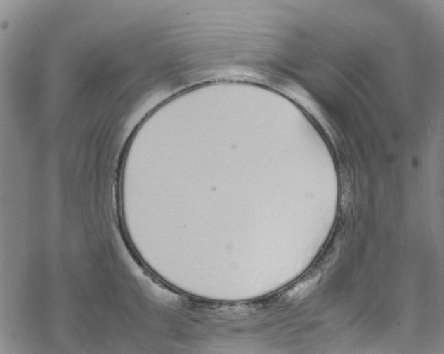 X0000067950999200605112120