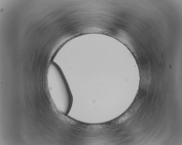 X0000067951000200605112120