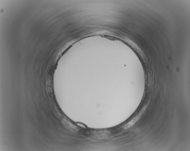 X0000067951001200605112120