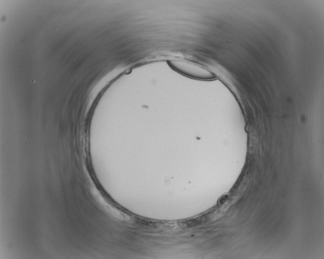 X0000067951003200605112120