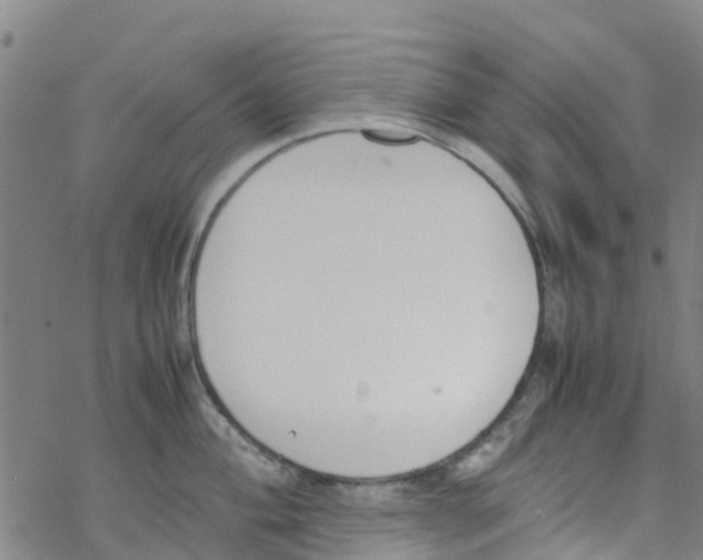 X0000067951004200605112120