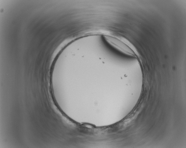 X0000067951005200605112120