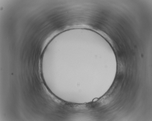 X0000067951006200605112120