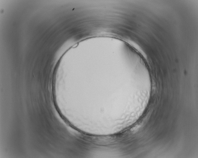 X0000067951007200605112120