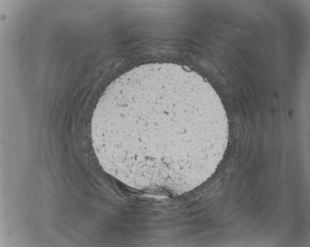 X0000067951009200605112119