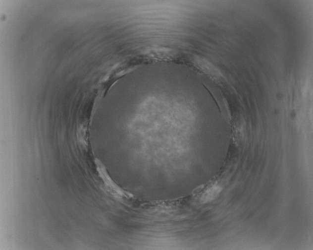 X0000067951010200605112119