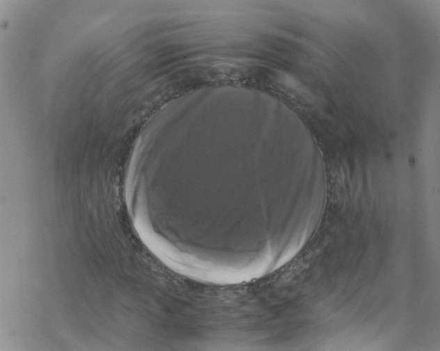 X0000067951013200605112120