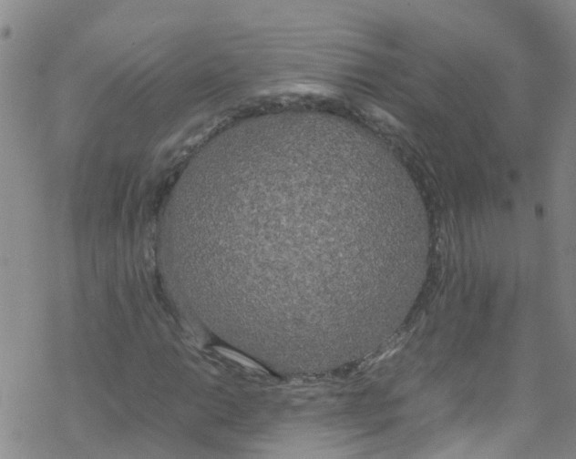 X0000067951014200605112120