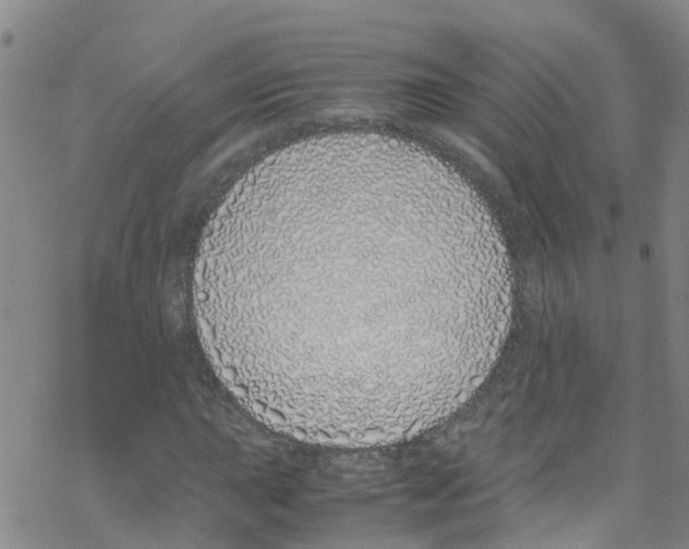 X0000067951015200605112120