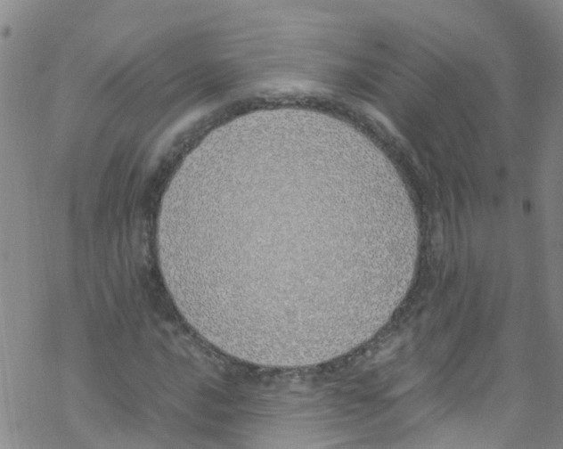 X0000067951016200605112120