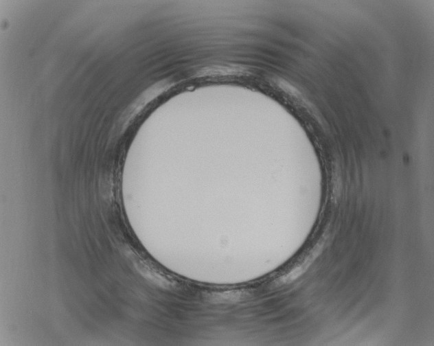 X0000067951017200605112120