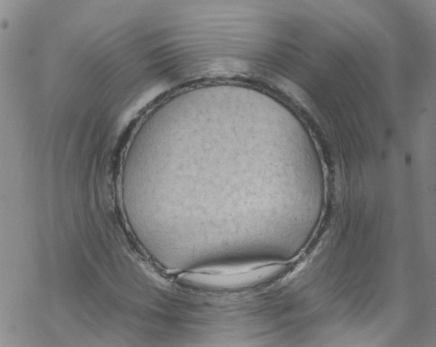 X0000067951018200605112120