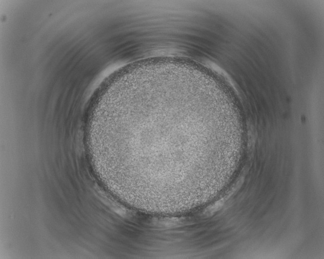 X0000067951019200605112120