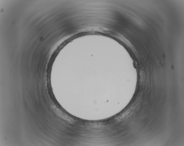 X0000067951020200605112120