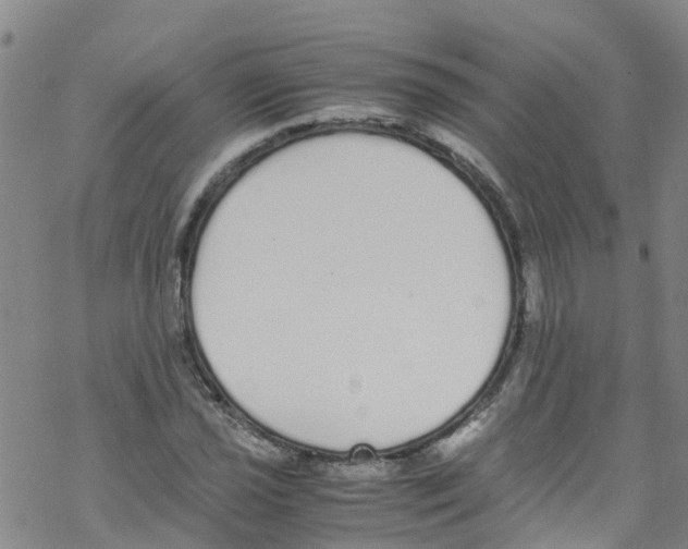 X0000067951021200605112120