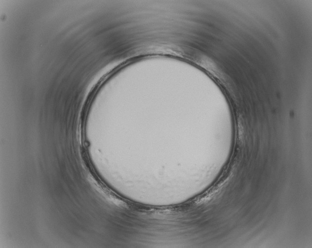 X0000067951028200605112120