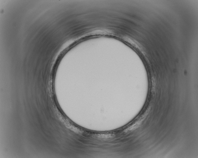 X0000067951029200605112120