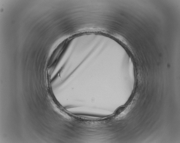 X0000067951030200605112120