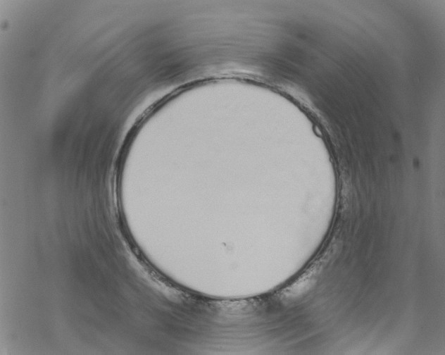 X0000067951032200605112120