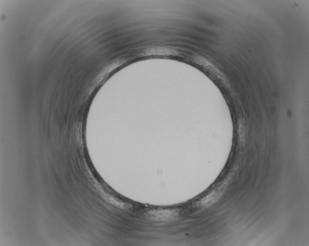 X0000067951033200605112120