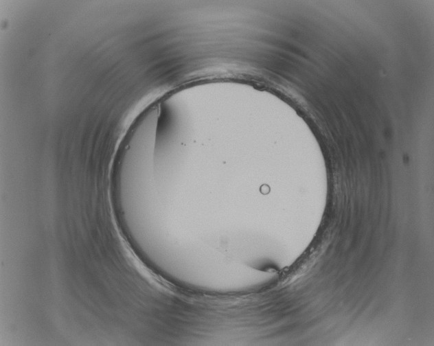 X0000067951034200605112120