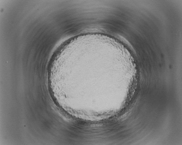 X0000067951035200605112120