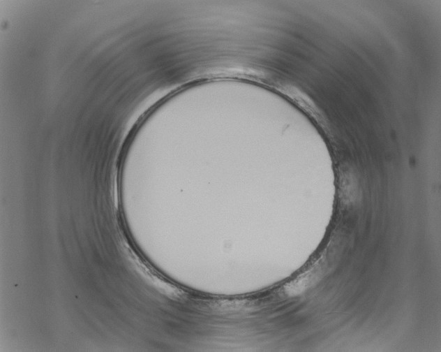 X0000067951036200605112120