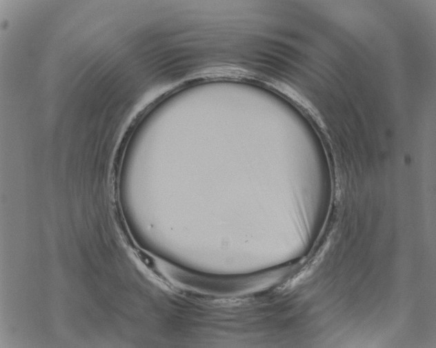 X0000067951037200605112120