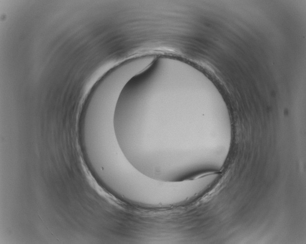 X0000067951038200605112120