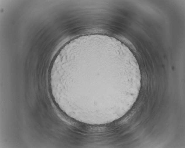 X0000067951039200605112120