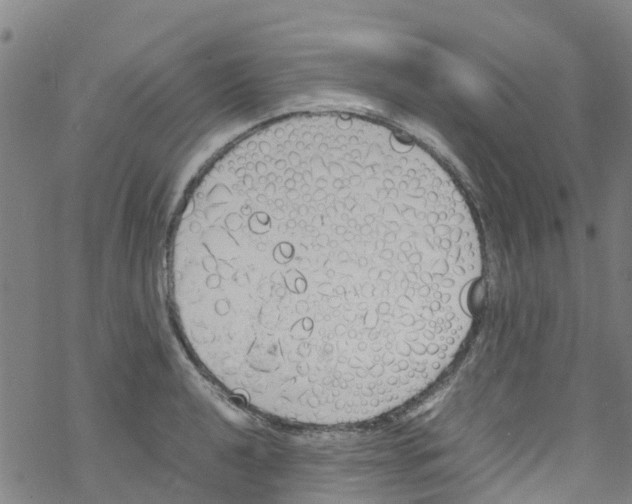 X0000067951040200605112120