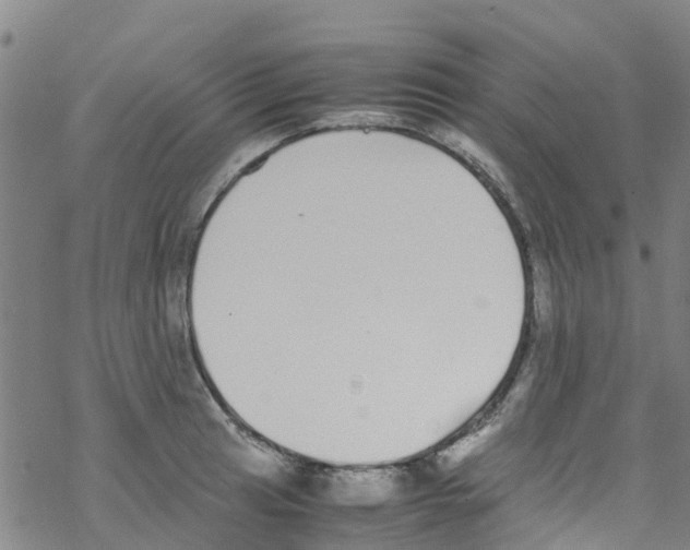 X0000067951041200605112120