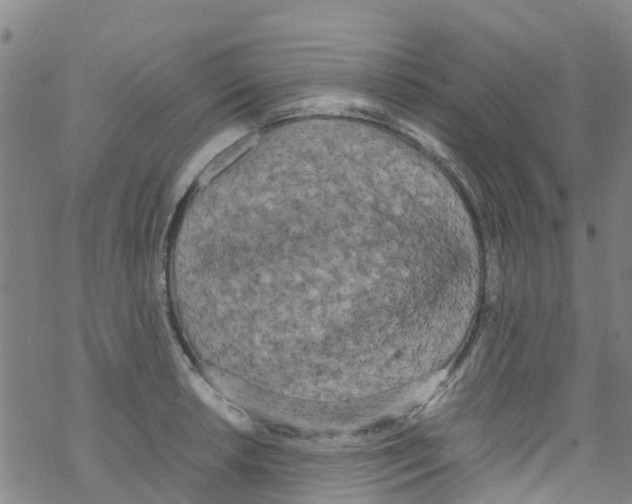 X0000067951042200605112120