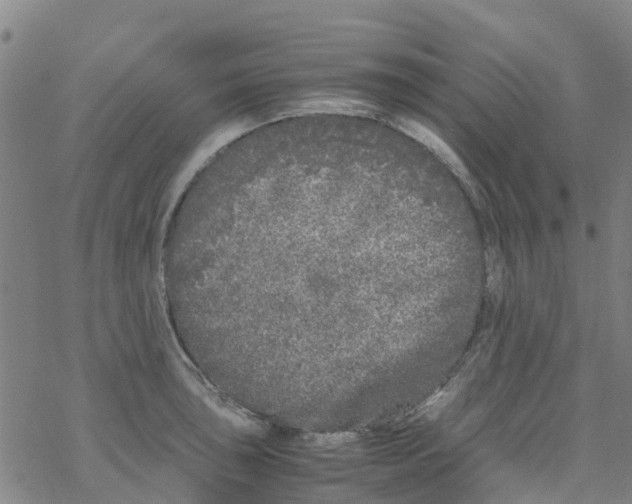 X0000067951043200605112120