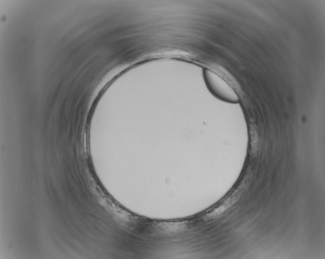 X0000067951044200605112120