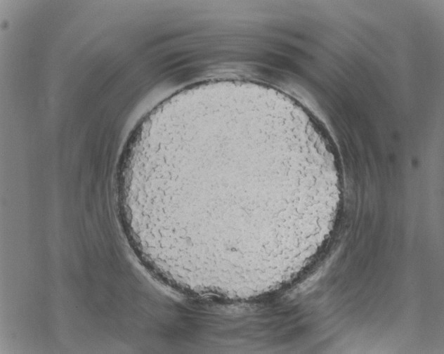 X0000067951045200605112120