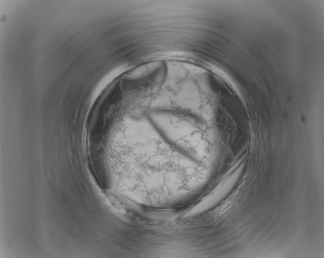 X0000067951050200605112120