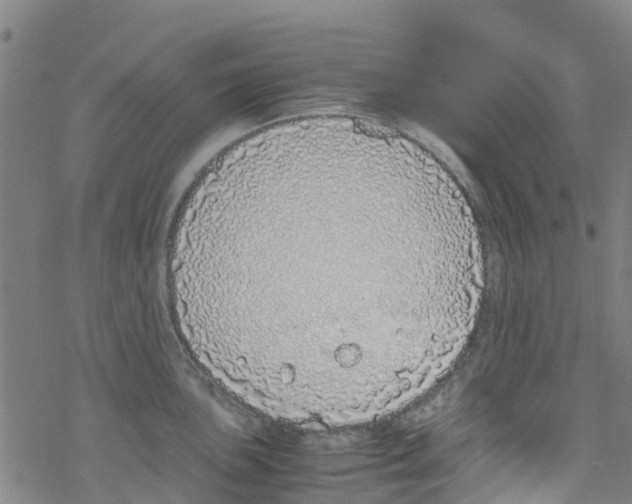 X0000067951051200605112120