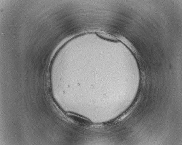 X0000067951052200605112120