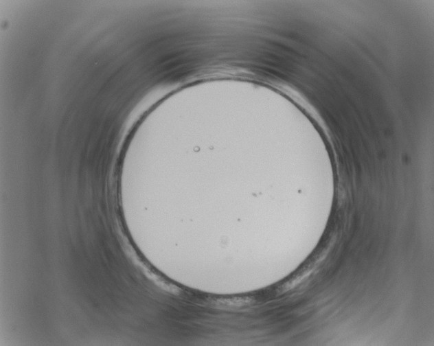 X0000067951053200605112120