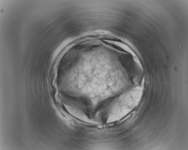 X0000067951054200605112120