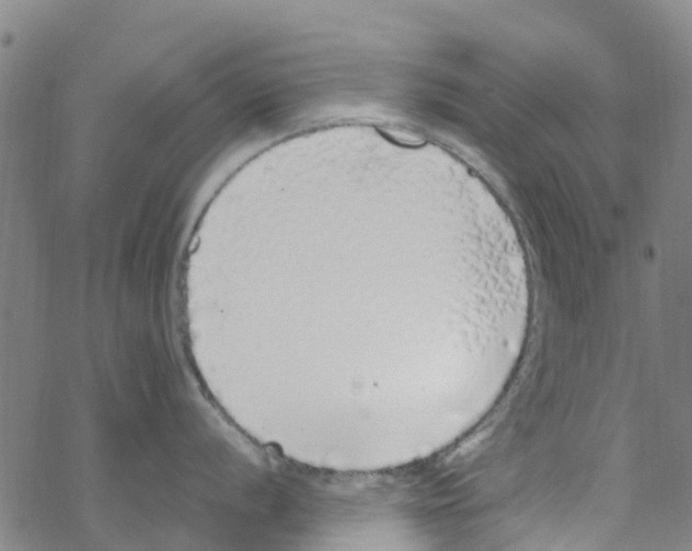 X0000067951056200605112120