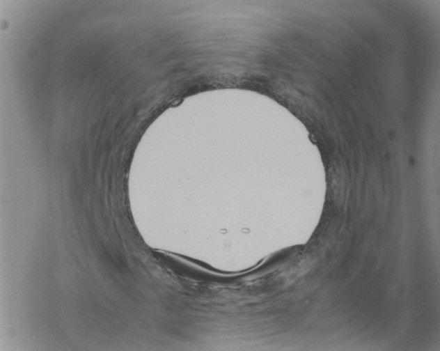 X0000067951057200605112119