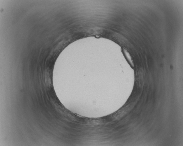 X0000067951058200605112119