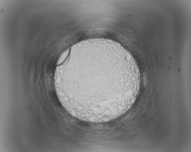 X0000067951059200605112119