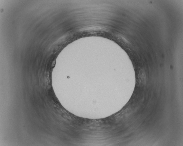 X0000067951062200605112119