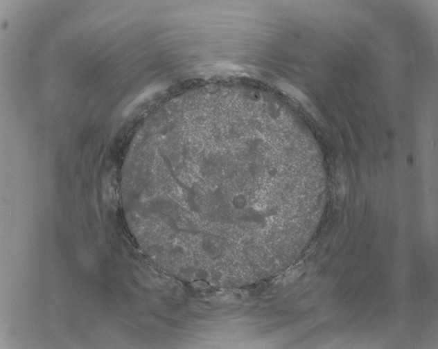 X0000067951063200605112119