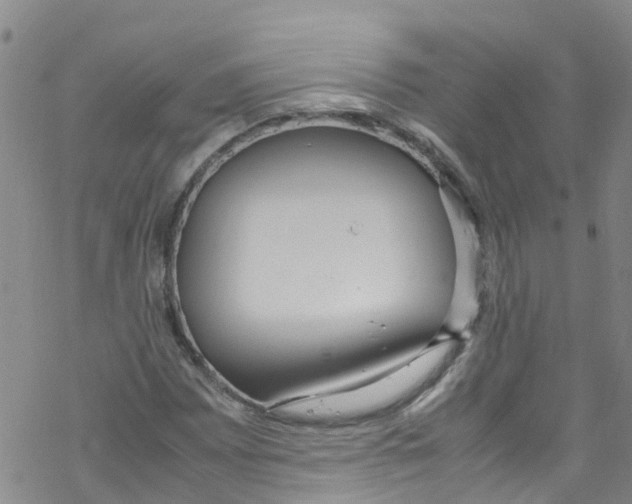 X0000067951065200605112119