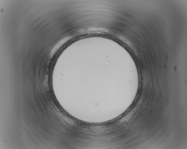 X0000067951066200605112119